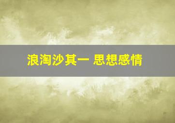 浪淘沙其一 思想感情